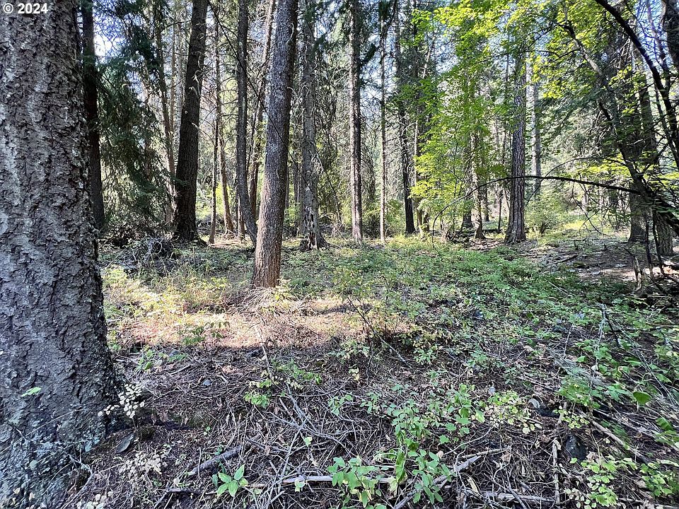 1st image of Wilderness Road Wallowa Lk