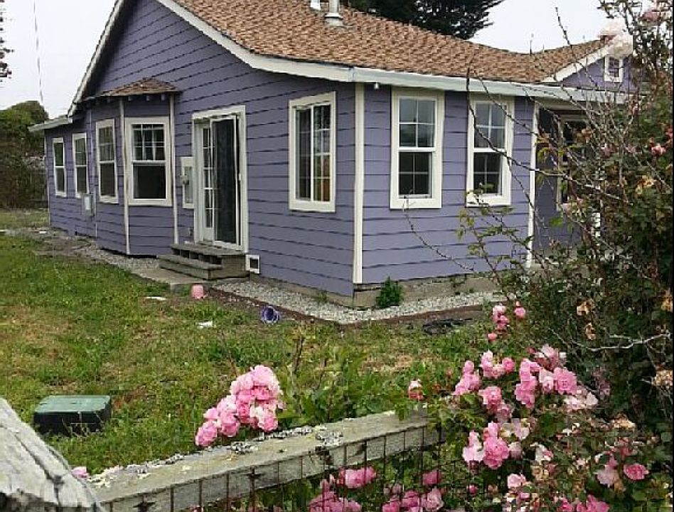 The purple house