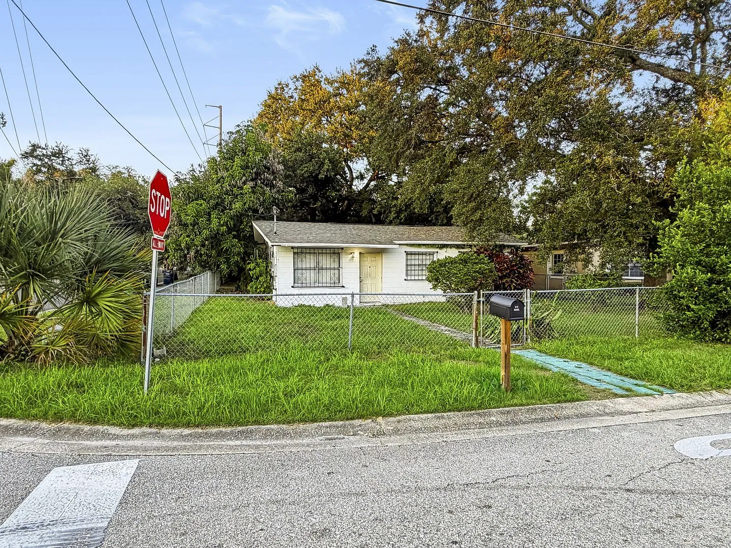 Freshly Updated 4-Bedroom Home for Rent in Tampa, FL — Photo 1