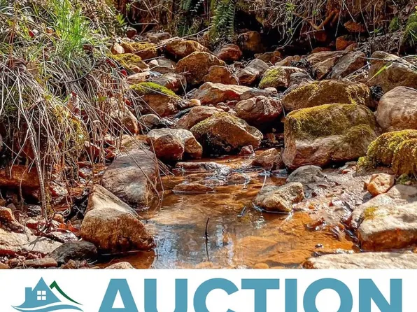 1048 Bauguess Mill Rd, Traphill, NC 28685
