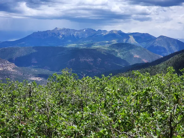 Canyon Rim Loop Lot 6, Placerville, CO 81430