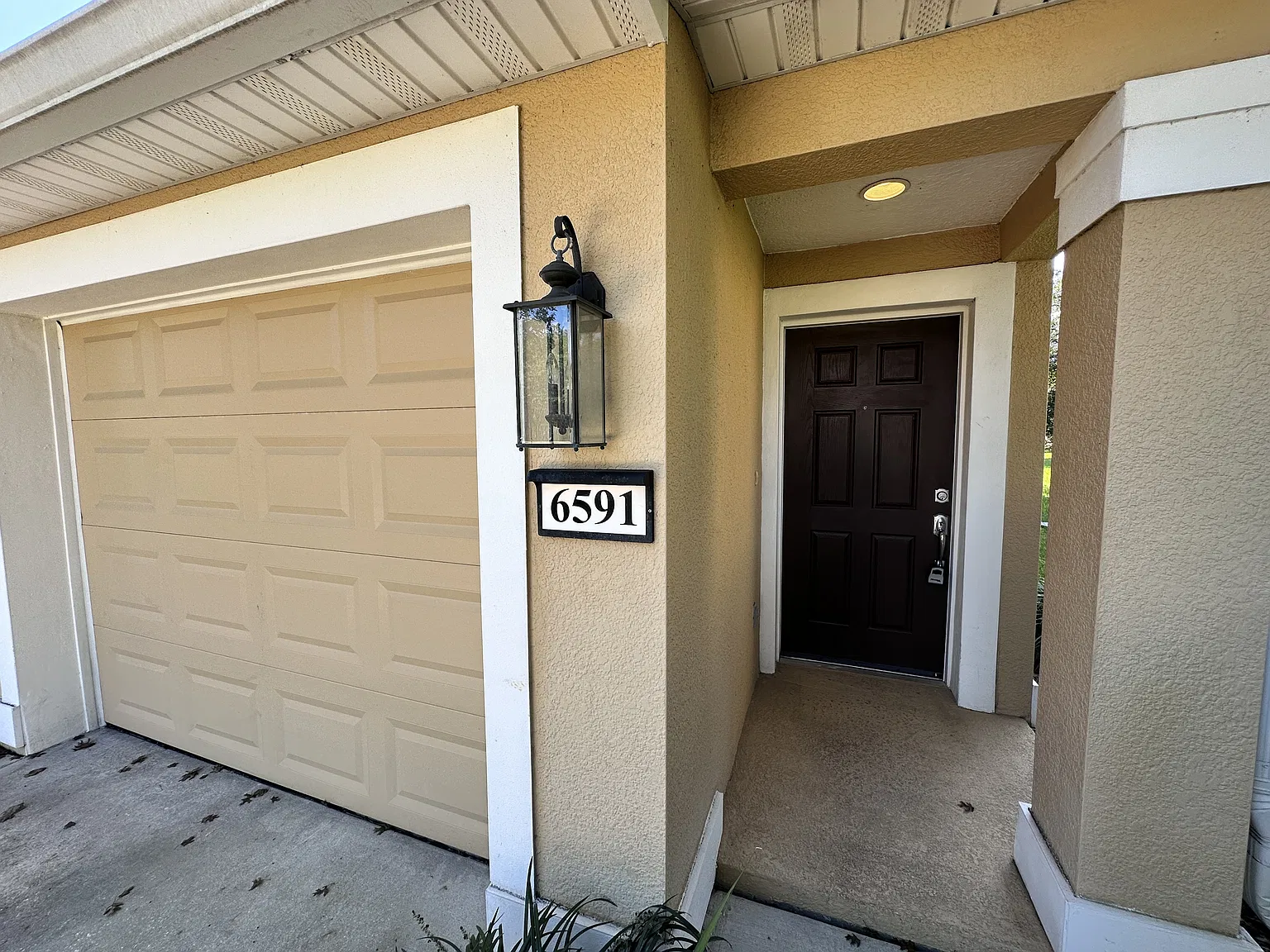 6591 White Blossom Circle 8F - 1 — Photo 3