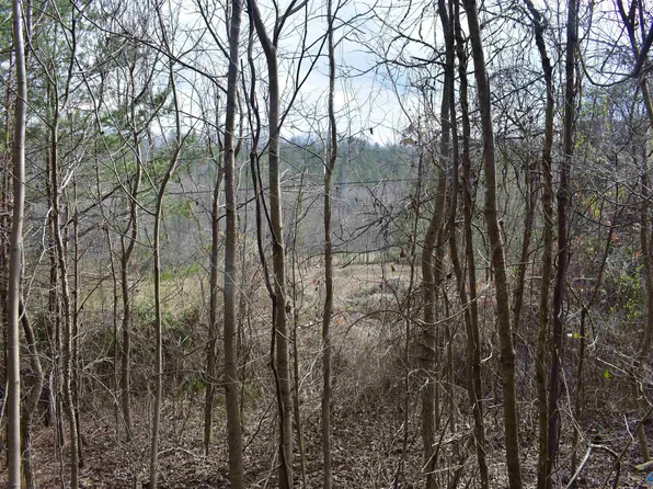 County Road 494, Fort Payne, AL 35968