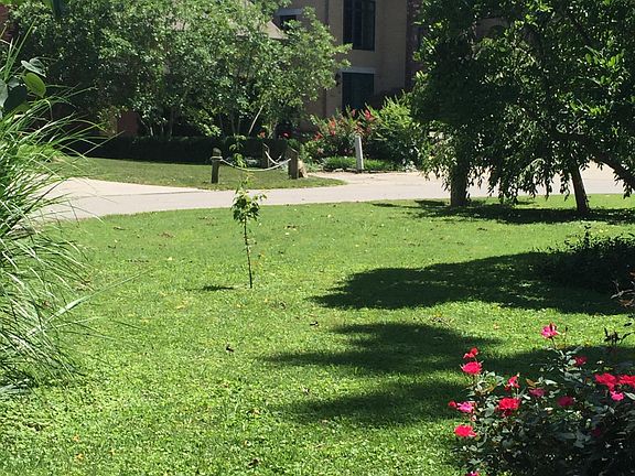 Front yard and neighbors house across street
