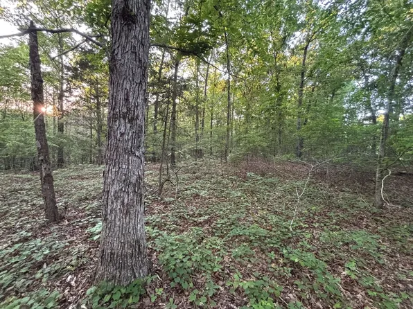 2700 Bear Creek Rd S, Pinson, TN 38366