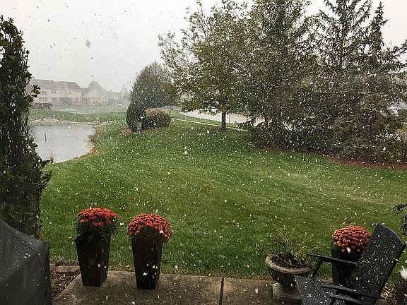 Backyard Pond