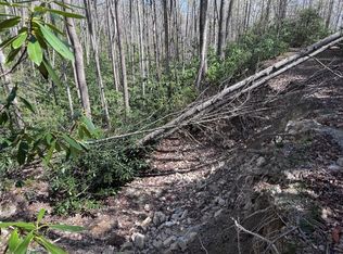 Red Clover Rd, Elk Park, NC 28622