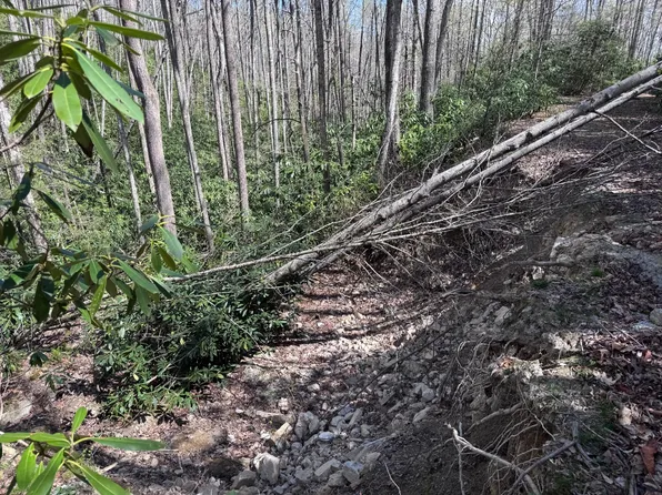 Red Clover Rd, Elk Park, NC 28622