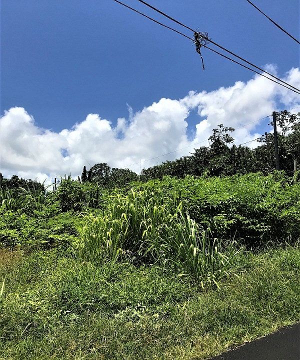 2nd image of Opihi St Lot 1