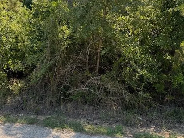LOT 1355 N Kaupo Dr #1355, Bastrop, TX 78602
