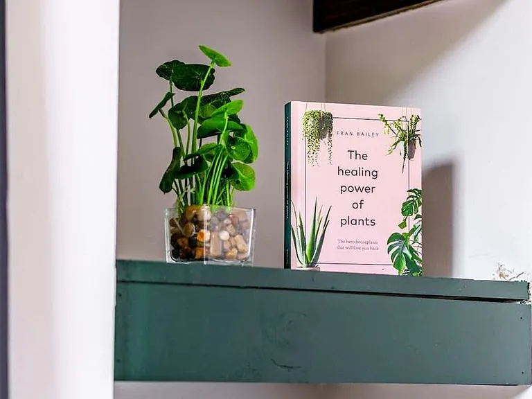 Reading Area