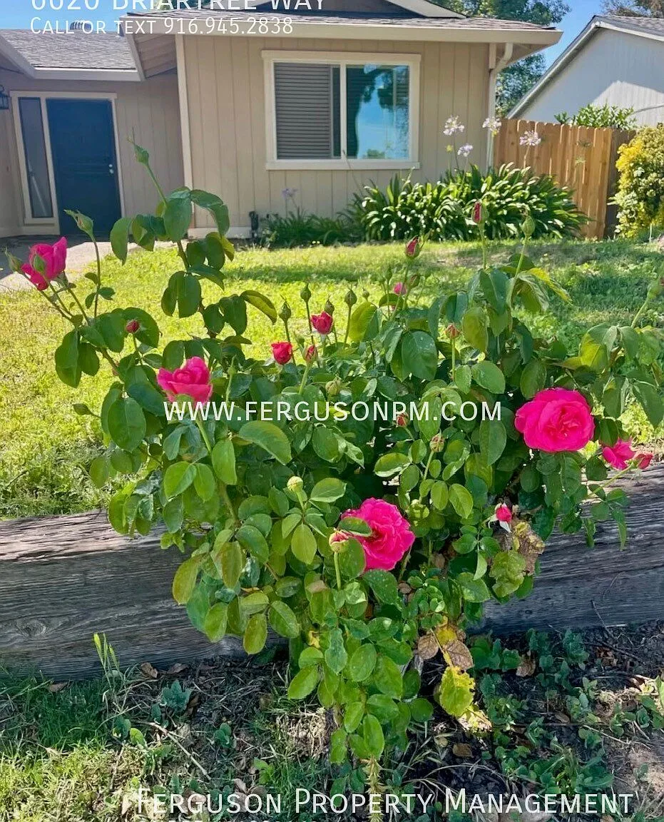 Remodeled Three Bedroom Home in a Great Citrus Heights Neighborhood — Photo 1