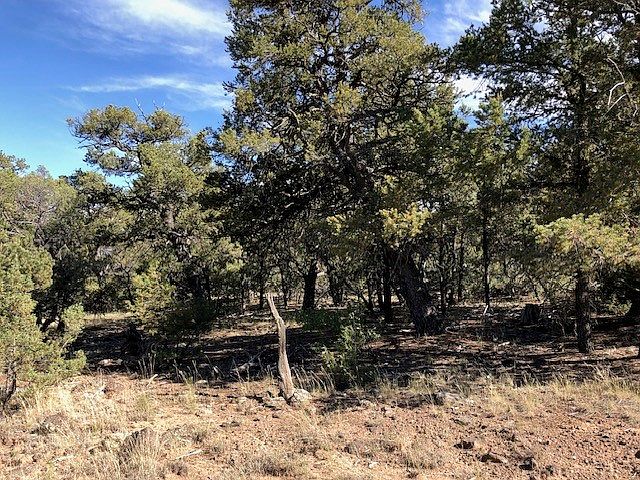 2nd image of Portion Of Lot 70