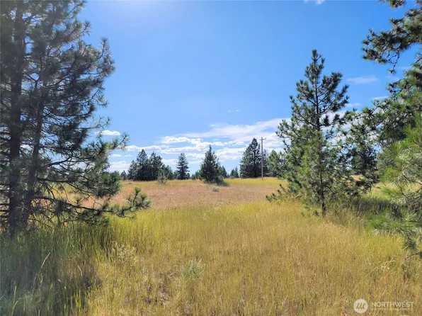 0 Bachelor Flats Drive N, Creston, WA 99117