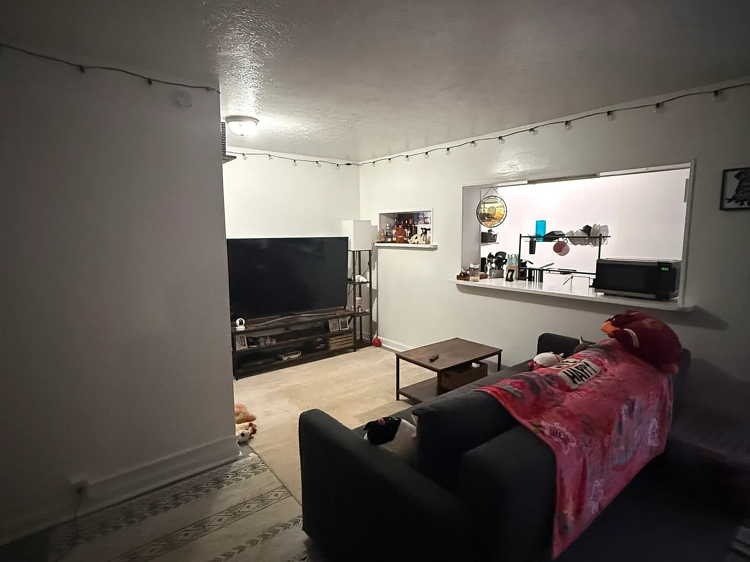 1 bed, $750 — Photo 3