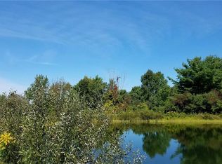 3932 Brink Hill Rd, Naples, NY 14512