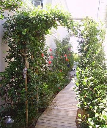 side yard - fenced in!