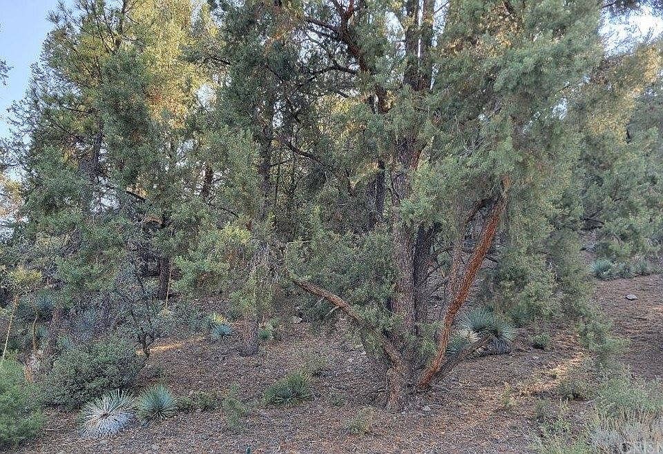 1st image of 1800 Matterhorn Dr
