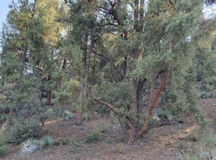 1800 Matterhorn Dr, Pine Mountain Club, CA 93222