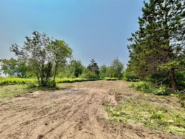 6658 Brookfield Ct, Elmira, MI 49730