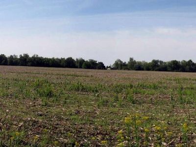 4720 W County Road 350 S, Muncie, IN, 47302