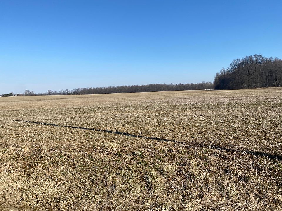 2nd image of 8769 County Road 40