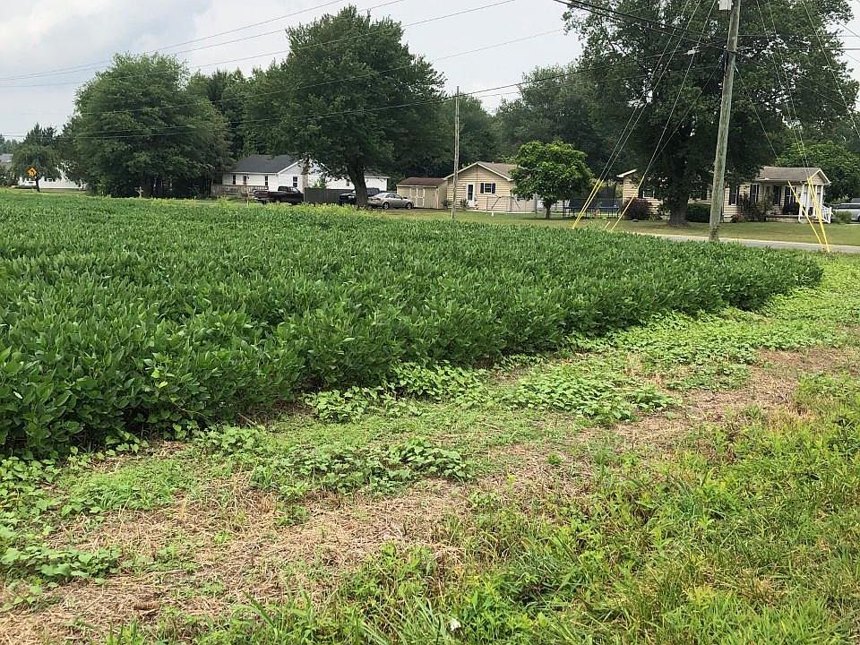 2nd image of Hazlettville Rd