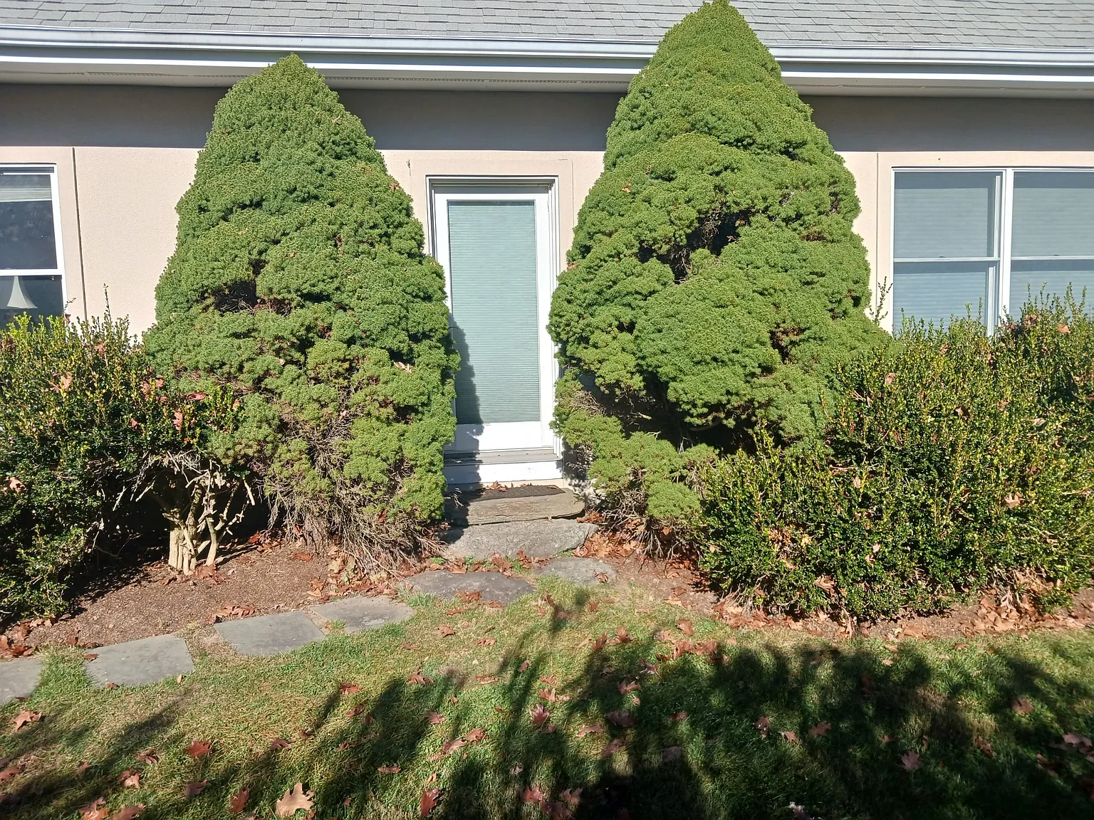 2 bed, 1000 sqft, $3,200 — Photo 3