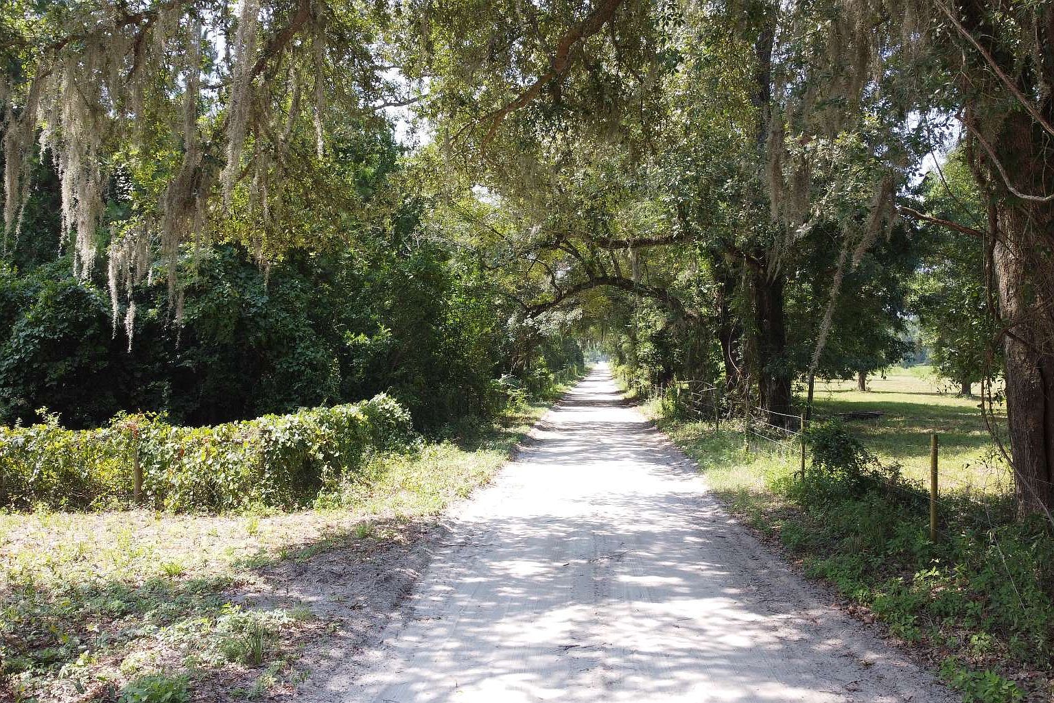 0 229th Rd, Live Oak, FL 32060 MLS 120153 Zillow