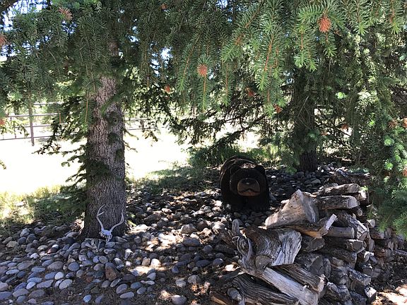 Large locally carved bear 