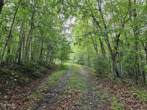 5th image of Jaybird Branch Rd