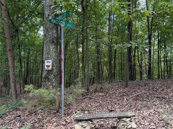 10 Mayfield Ln NE #1065, Ranger, GA 30734