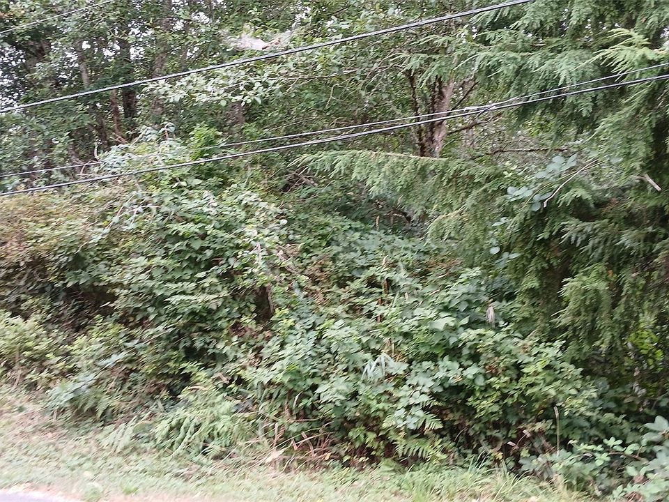 2nd image of 0 127th Avenue NE