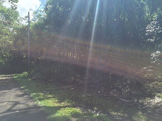 4th image of Puhi St Lot 1795