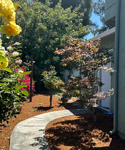 315 Landeros Dr — Photo 11