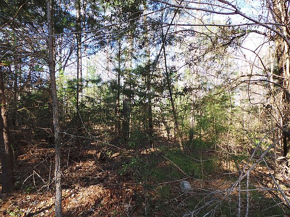 4th image of 448 Cypress Point Dr