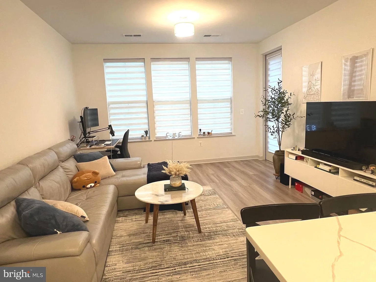 1 bed, 744 sqft, $2,300 — Photo 4