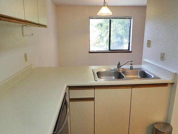 spacious counter area with dish washer and disposal