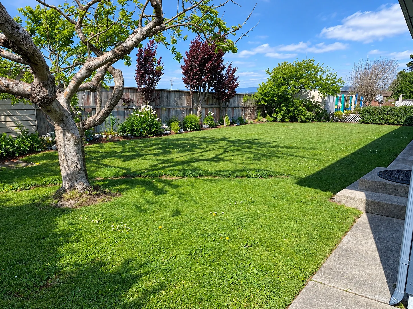 5 bed, 1900 sqft, $4,000 — Photo 4