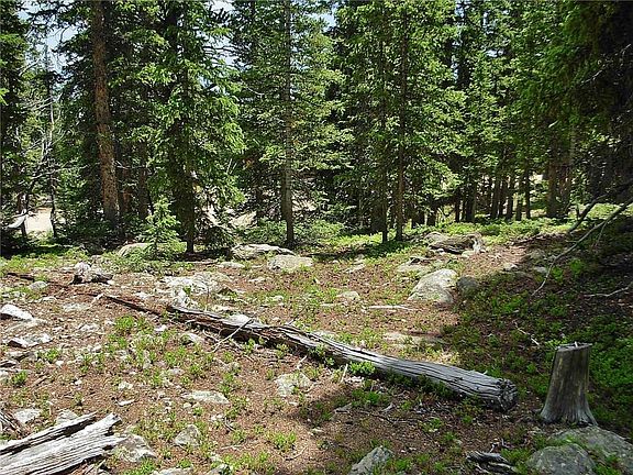 5th image of 125 Silverheels Pl