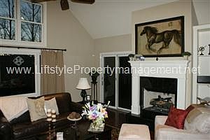 Gas Log Fireplace