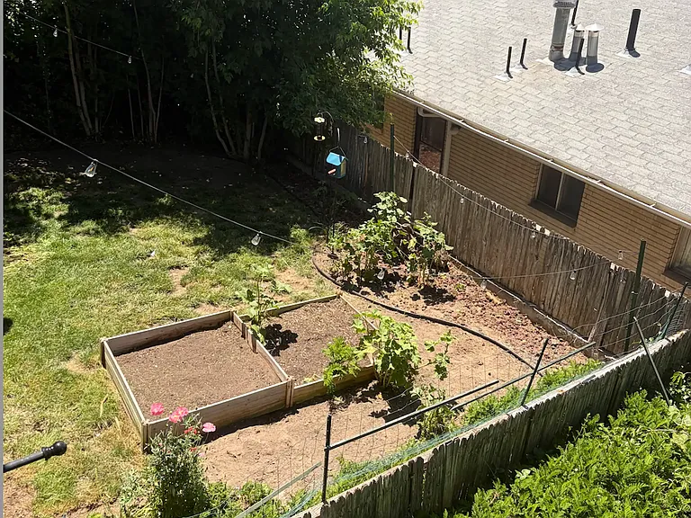 backyard view from patio of the garden in the back. owner is open to removing.