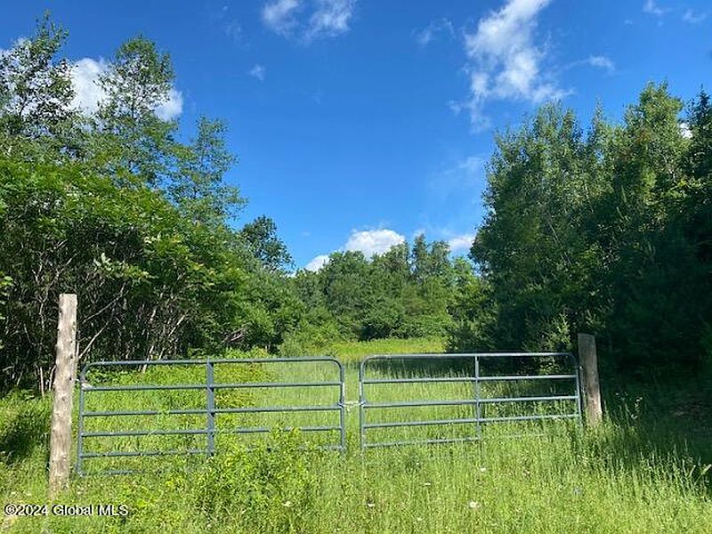 5th image of L29 NY State Route 28N