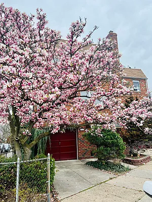 Rented by N & H Realty Group Inc | media 1