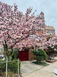 Rented by N & H Realty Group Inc