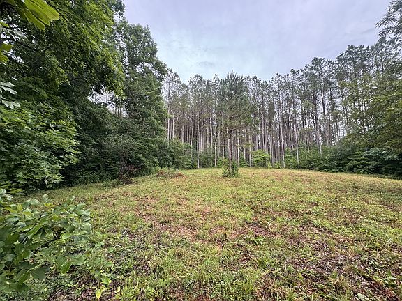 2nd image of 0 Johnson Hollow Rd Lot 6