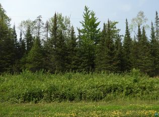 919X Hessey Rd, Pt Wing, WI 54865