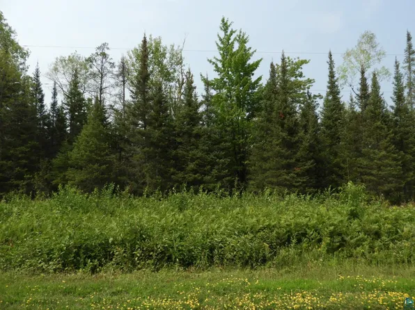 919X Hessey Rd, Pt Wing, WI 54865