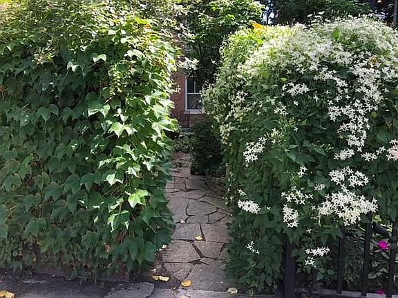4th image of 1929 N Bissell St