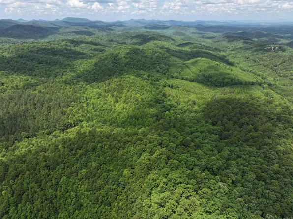 Polk Rd #61, Mena, AR 71953